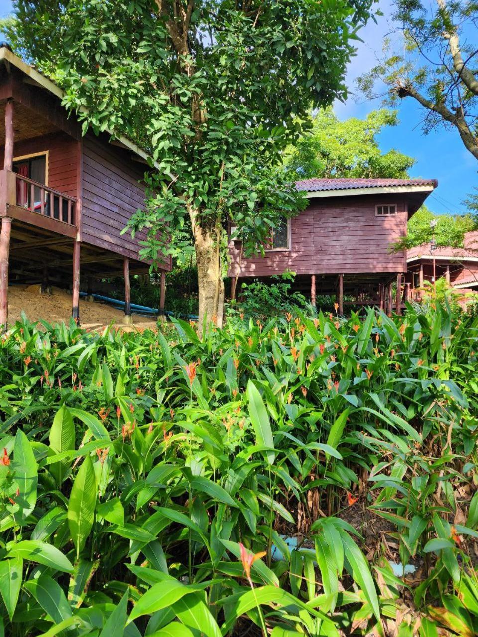 Sweet Jungle Bungalows Kaoh Touch ภายนอก รูปภาพ