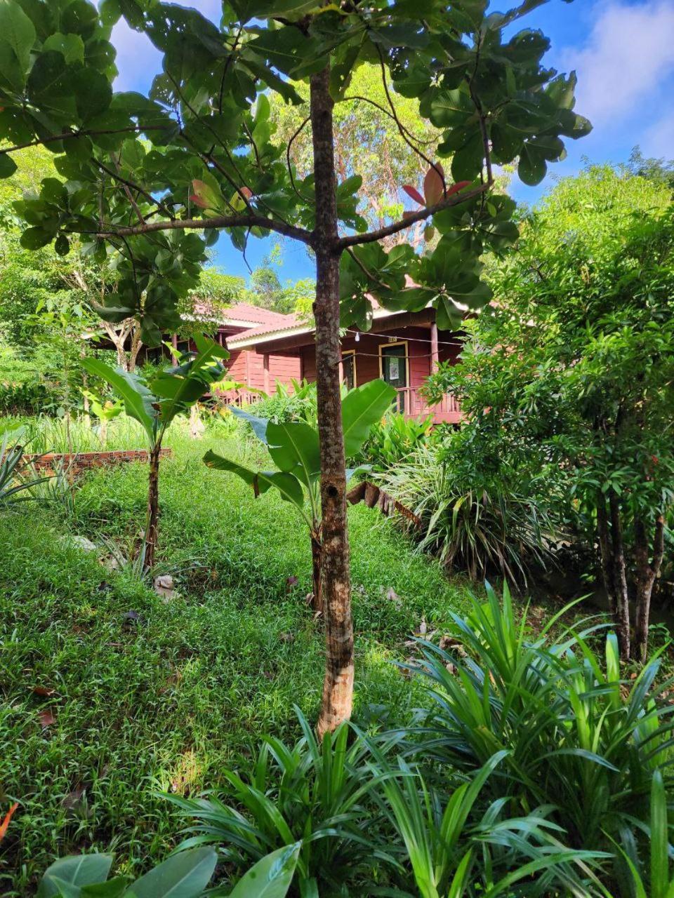 Sweet Jungle Bungalows Kaoh Touch ภายนอก รูปภาพ